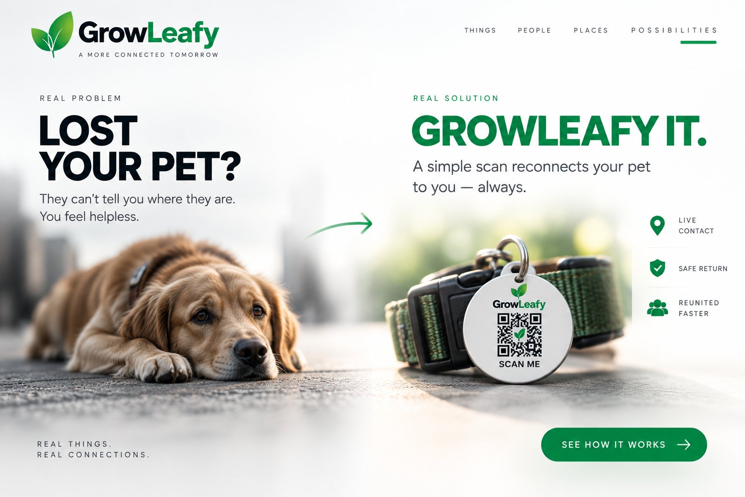 Campaign frame: “Lost your pet? GrowLeafy it.” — a dog resting alone on the left, and its collar with a GrowLeafy QR tag on the right, offering live contact and safe return.